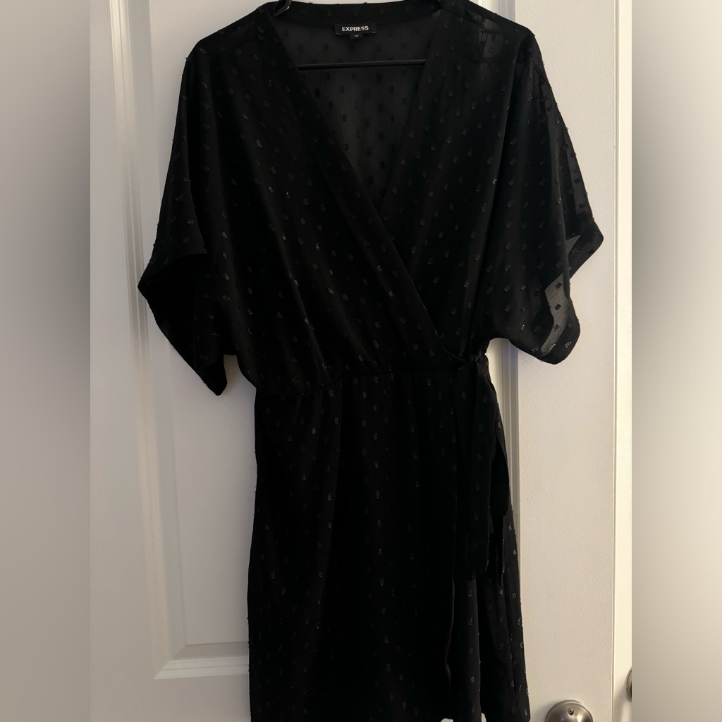 Express Wrap Mesh Dress